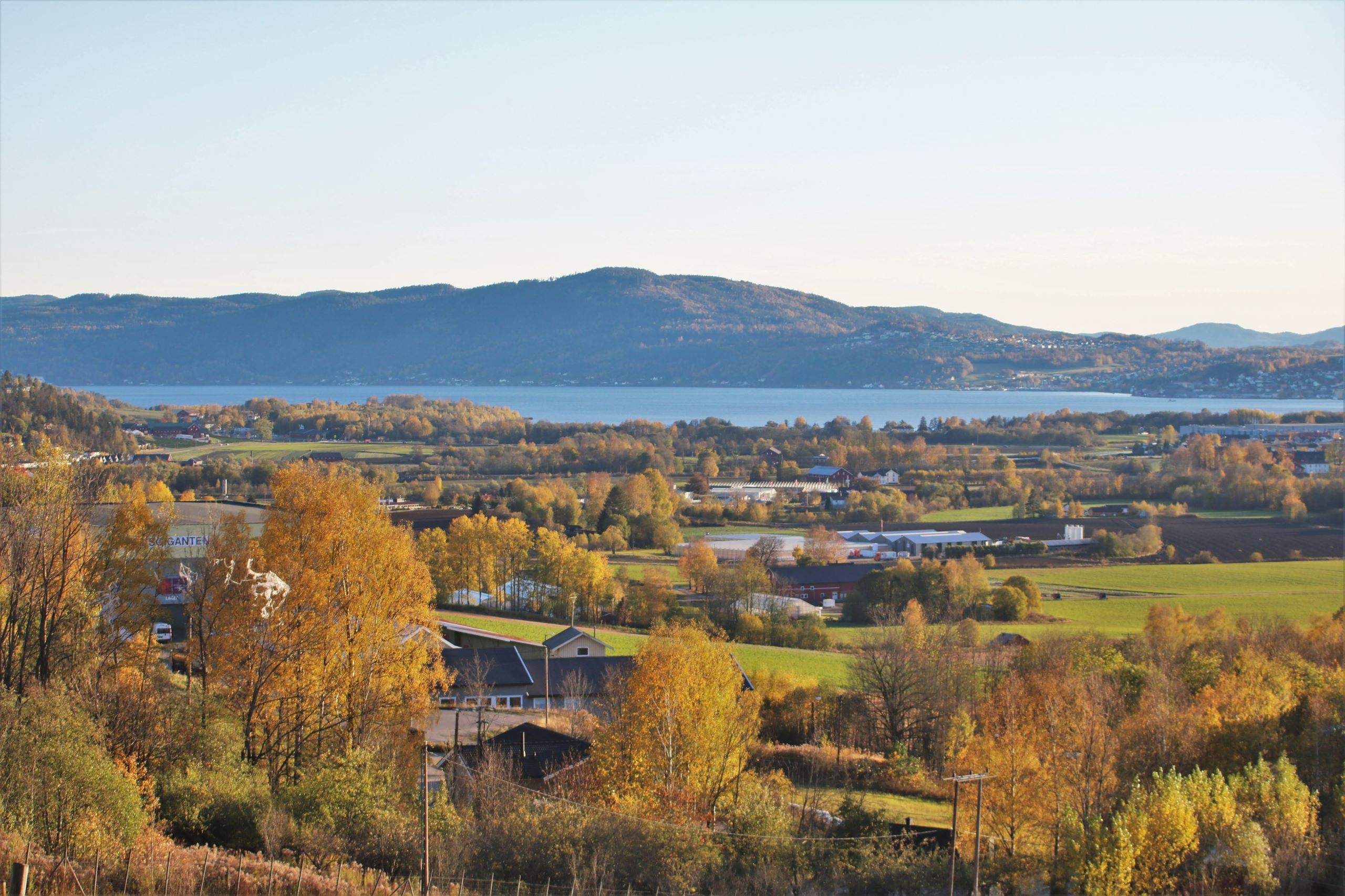 flyttebyrå Asker