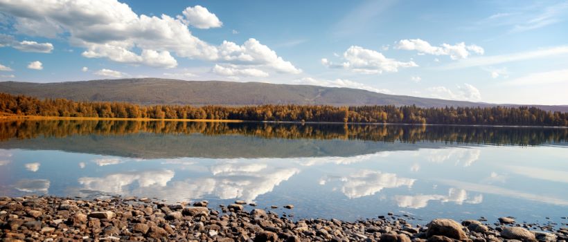 flyttebyrå Steinkjer