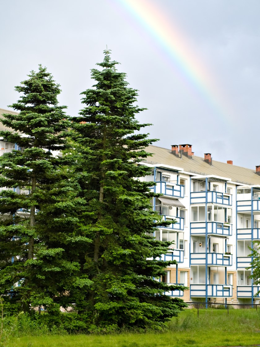 moving company Lambertseter